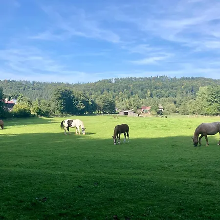 Domek Drewniany Caloroczny Radkow
